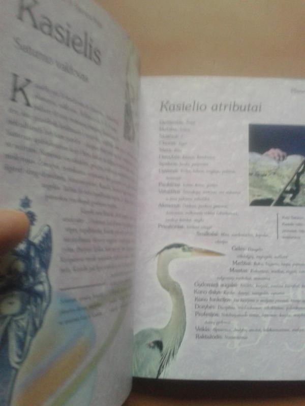 Angelų knyga - Francis Melville, knyga 6