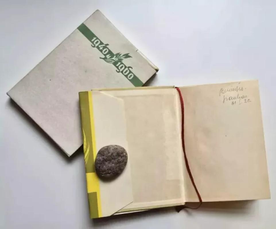 Broliška poema - Eduardas Mieželaitis, knyga 4