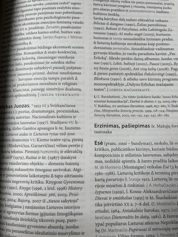 Literatūros enciklopedija mokyklai - Loreta Mačianskaitė, knyga 4