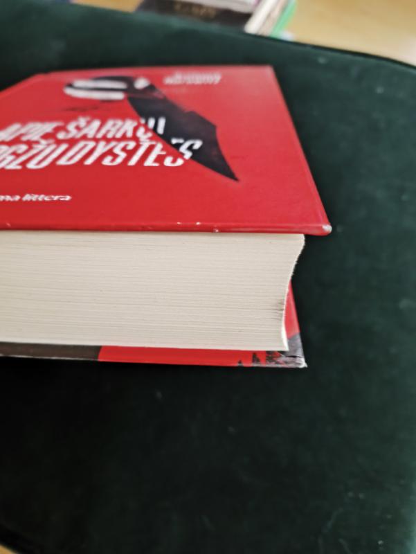 Apie šarkų žmogžudystes - Anthony Horowitz, knyga 2