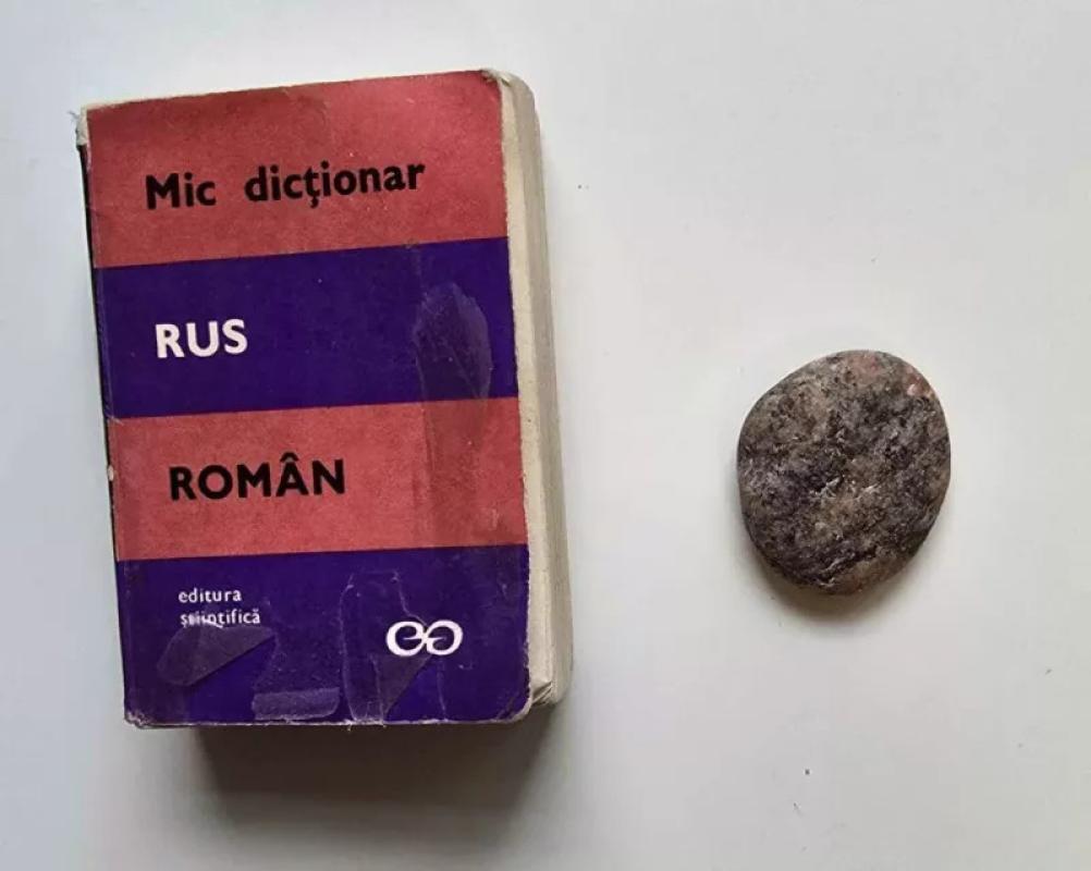 Trumpas rusų - rumunų žodynas (rusų k.) 1972 - Victor Vascenco , knyga 2