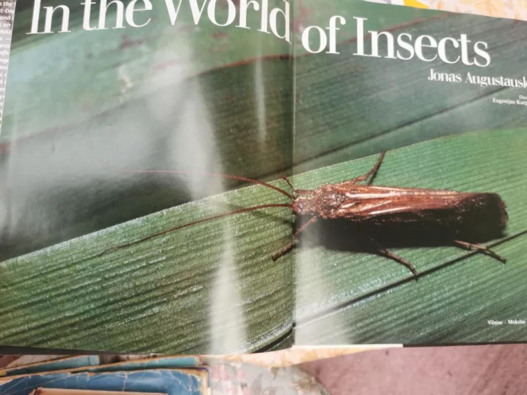 In the world of insects - Jonas Augustauskas, knyga 3