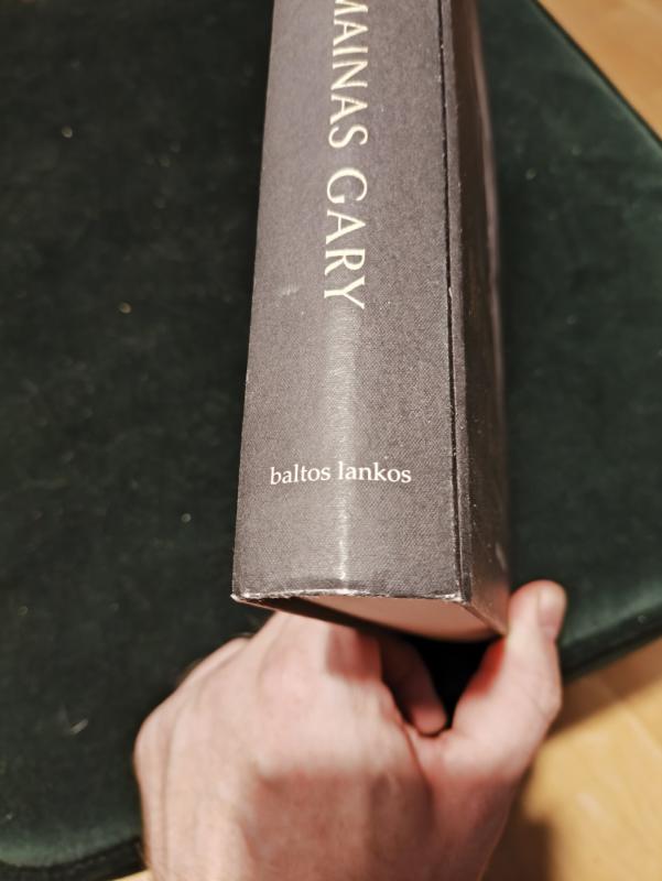 Romainas Gary: pirma didžio XX a. rašytojo Romaino Gary – burtininko, žaidžiančio savo paslaptimis – biografija lietuvių kalba - Dominique Bona, knyga 5