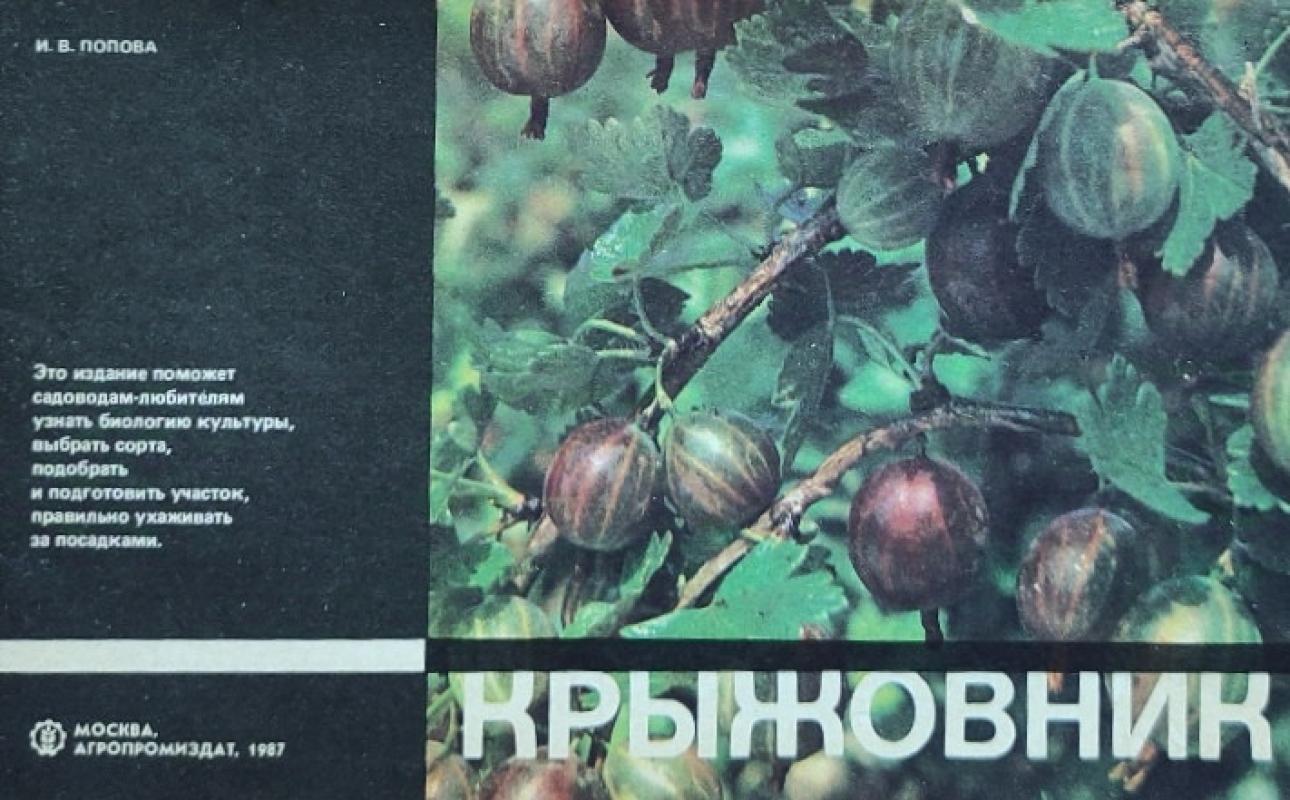 Agrastai - Grupė autorių , knyga 2