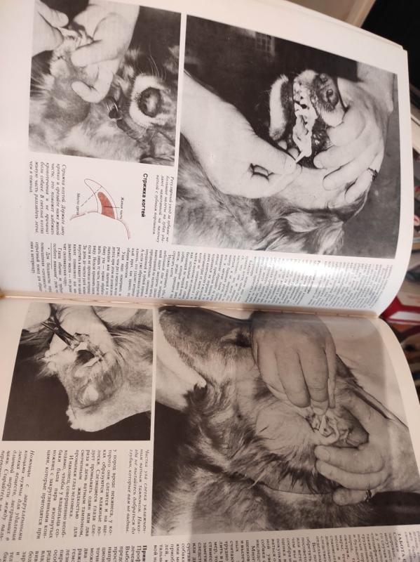 Jūsu šuo praktinis vadovas(rusu k.) - Džoan Palmer, knyga 4