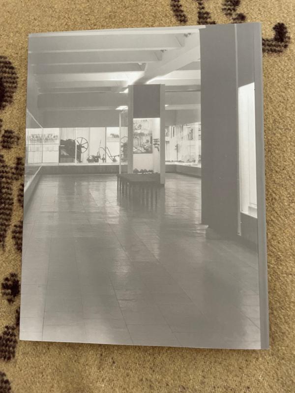 Vincas Žilėnas, kultūros istorikas, muziejininkas - Rima Tumėnaitė, knyga 4