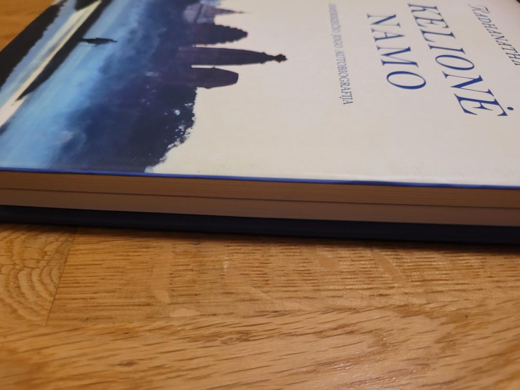 Kelionė namo. Amerikiečio jogo autobiografija - Radhanatha Svamis, knyga 4