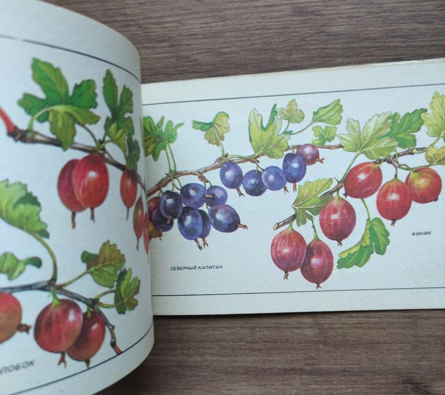 Agrastai - Grupė autorių , knyga 3