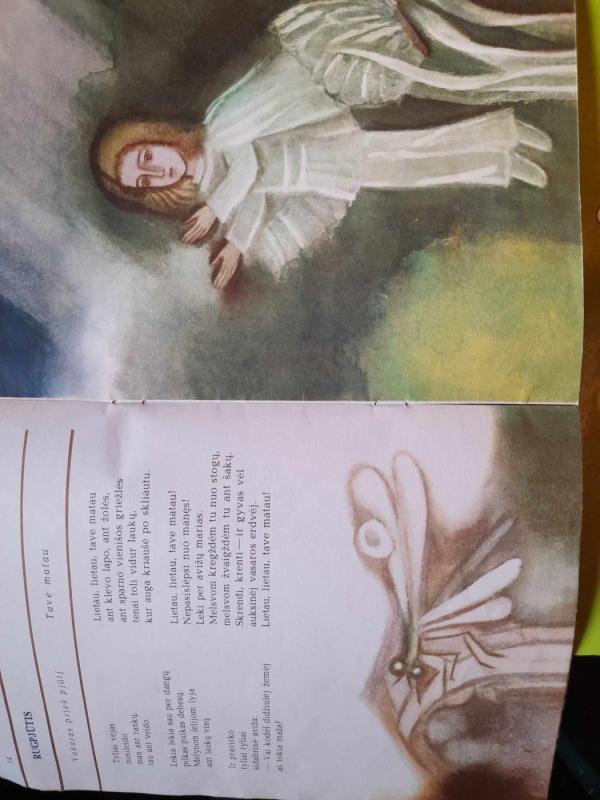 Saulės pėdom - Janina Degutytė, knyga 4