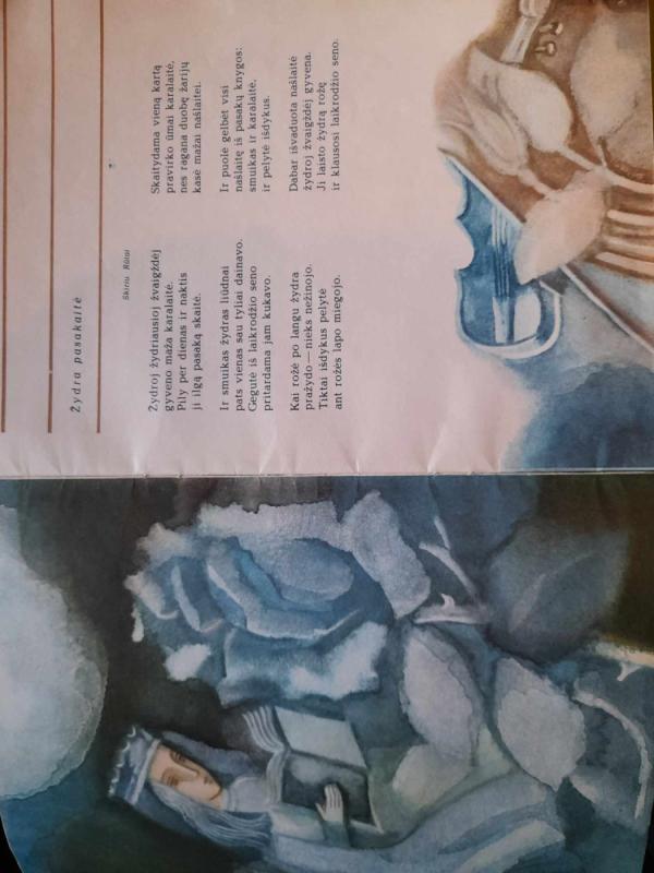 Saulės pėdom - Janina Degutytė, knyga 3