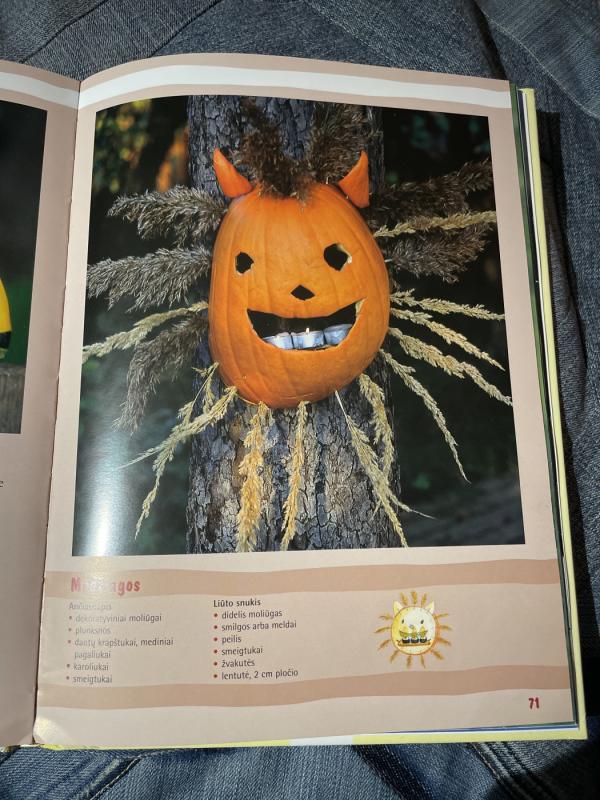 Kūrybiniai darbeliai visais metų laikais - Sabine Lohf, knyga 5