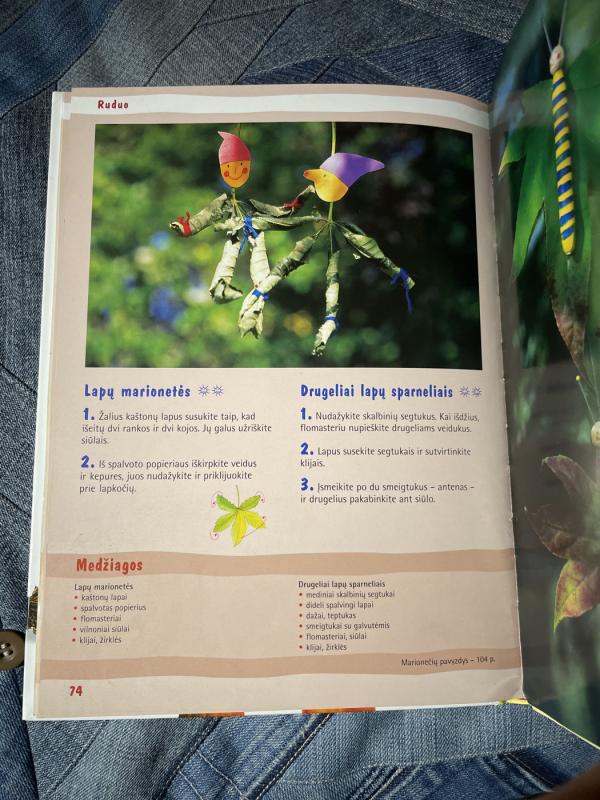 Kūrybiniai darbeliai visais metų laikais - Sabine Lohf, knyga 6