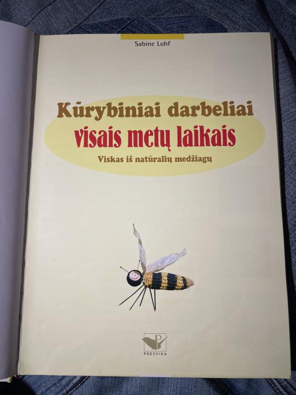 Kūrybiniai darbeliai visais metų laikais - Sabine Lohf, knyga 3