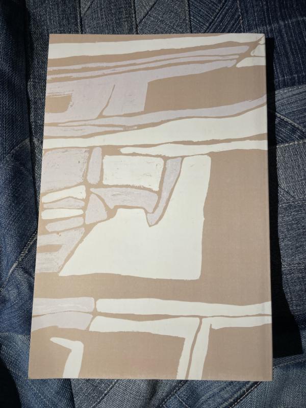 Su vėjo malūnais kely - Vilius Baltrėnas, knyga 5