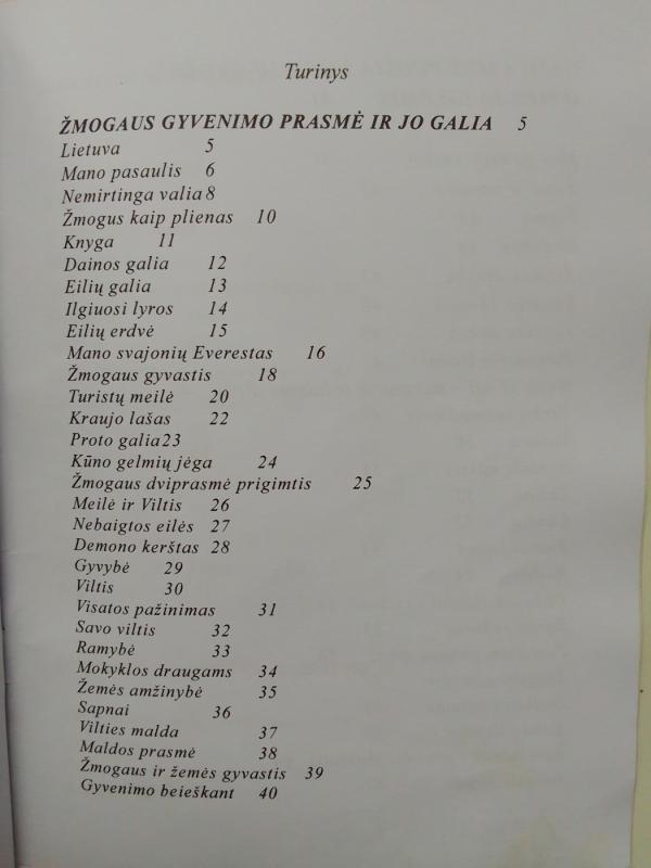 Žmogaus galių erdvė - Danieius Radžiukynas, knyga 4