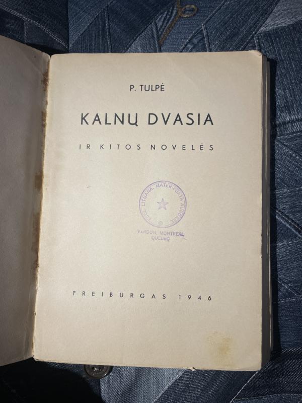 Kalnų dvasia - P. Tulpė, knyga 3