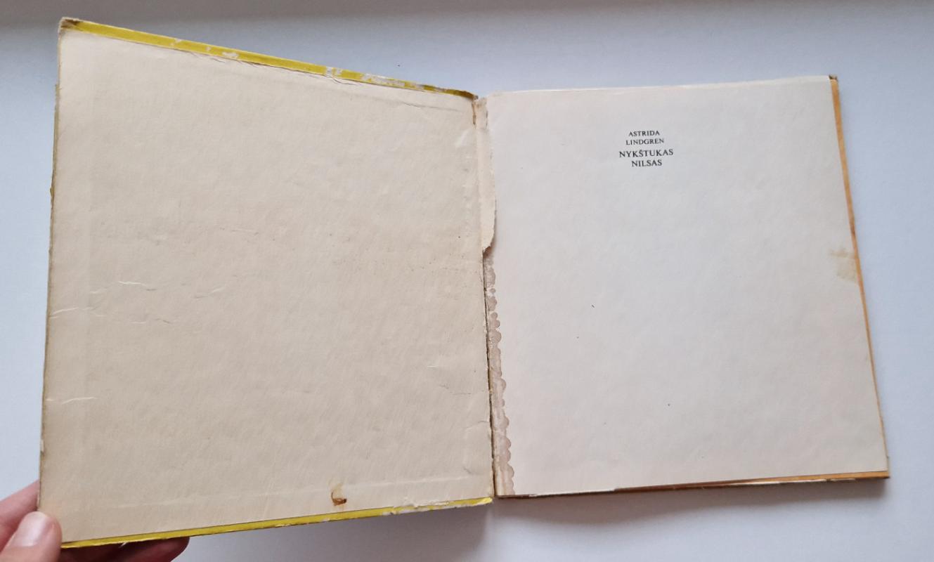 Nykštukas Nilsas - Astrid Lindgren, knyga 5