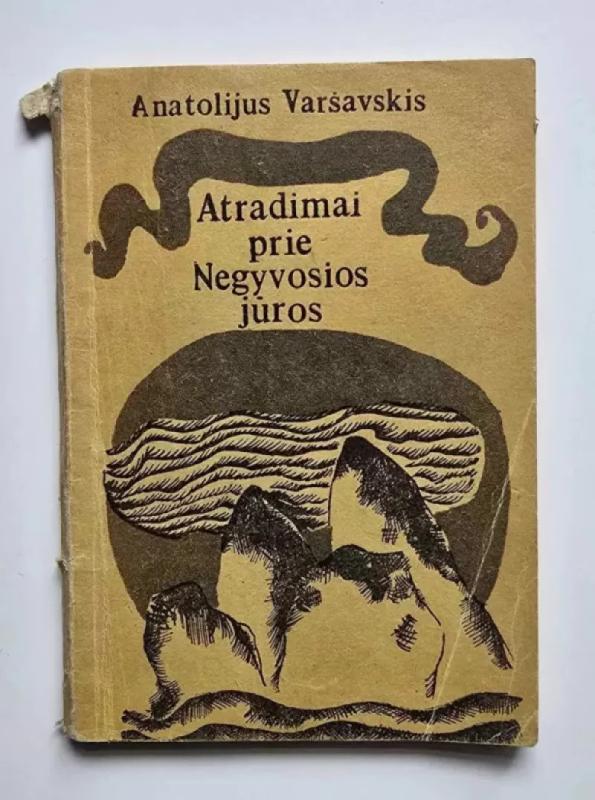 Atradimai prie Negyvosios jūros - Anatolijus Varšavskis, knyga 2
