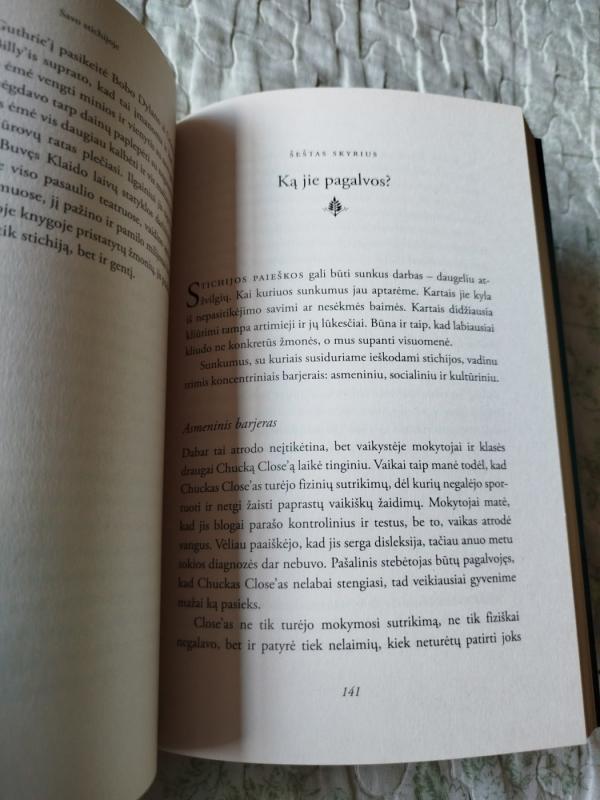 Savo stichijoje - Robinson Ken, knyga 4