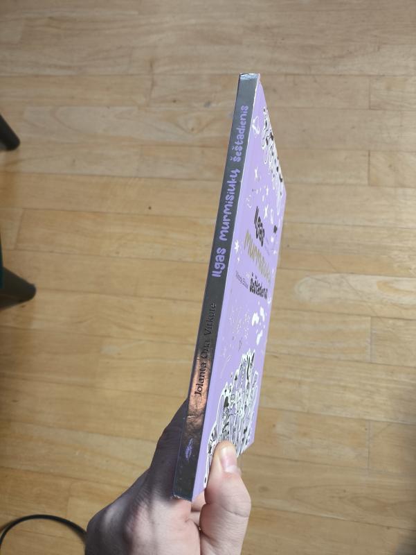 Ilgas murmisiuku šeštadienis - Jolanta Ona Vitkutė, knyga 6