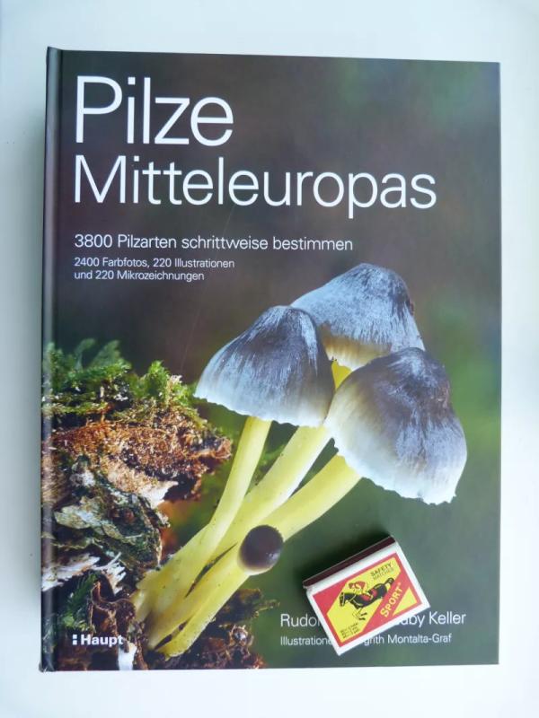 Pilze Mitteleuropas (Centrinės Europos grybai) - Gaby Keller , Rudolf Winkler, knyga