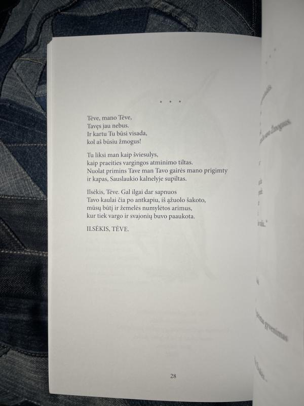 Šaknys - Vladislovas Jonikas, knyga 4