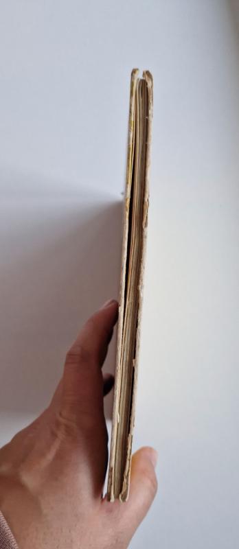 Nykštukas Nilsas - Astrid Lindgren, knyga 6