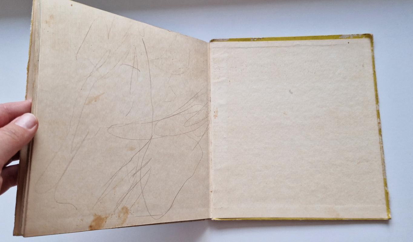 Nykštukas Nilsas - Astrid Lindgren, knyga 4