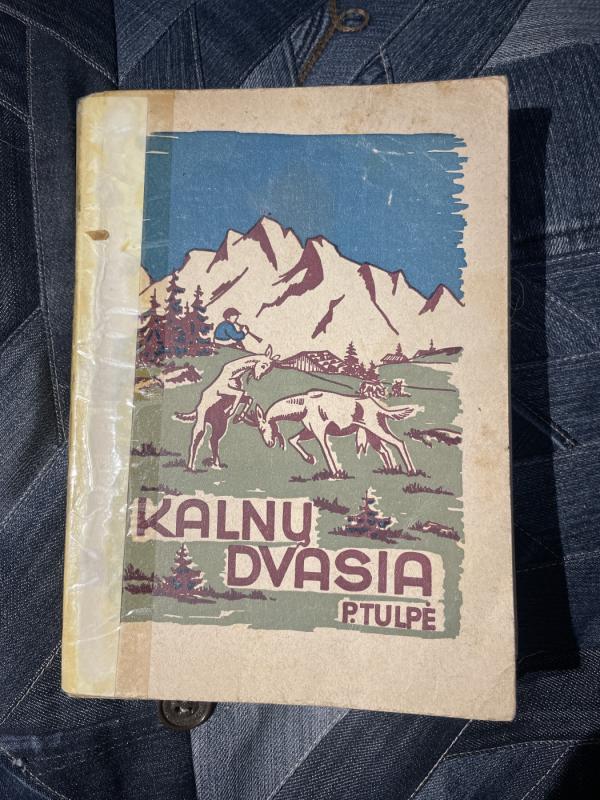 Kalnų dvasia - P. Tulpė, knyga 2