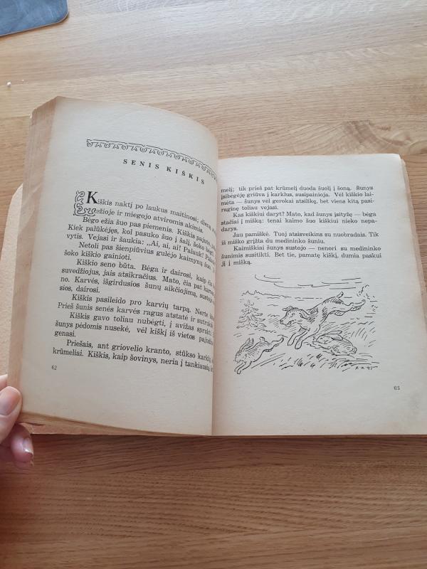 Senio pasakos - Pranas Mašiotas, knyga 4