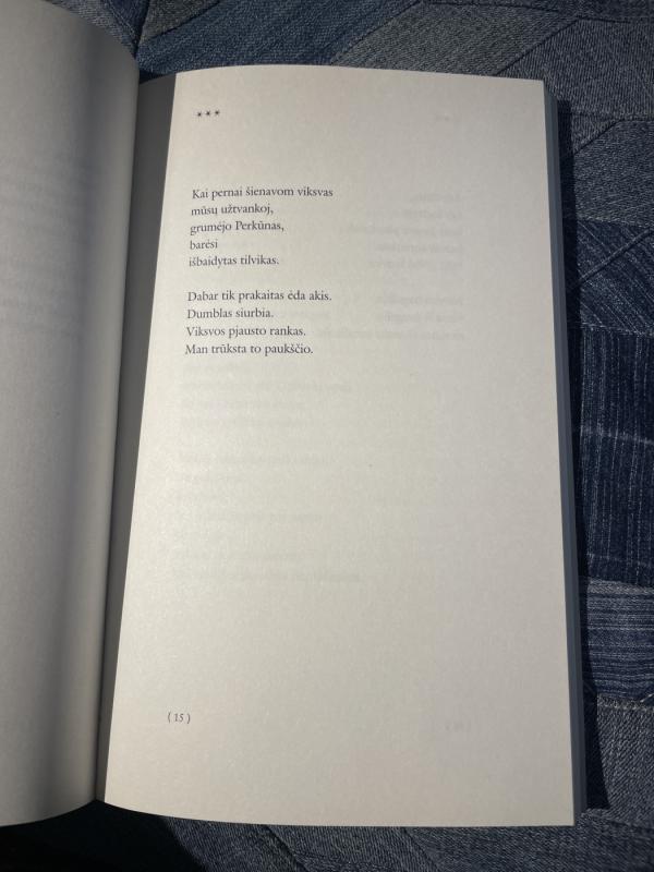 Tenoriu būti - Zita Mažeikaitė, knyga 4