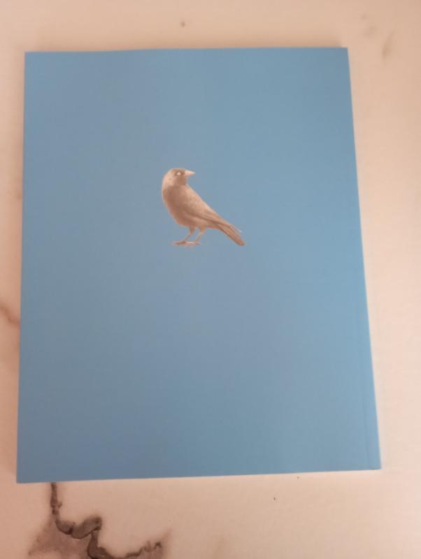 Septyni pauksciu istatymai - Ruta Montvilate, knyga 3