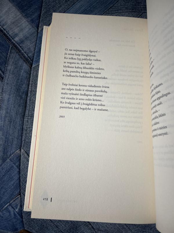 Palaimink žodį ir aidą - Aldona Elena Puišytė, knyga 5