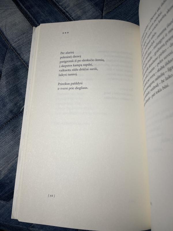 Tenoriu būti - Zita Mažeikaitė, knyga 5