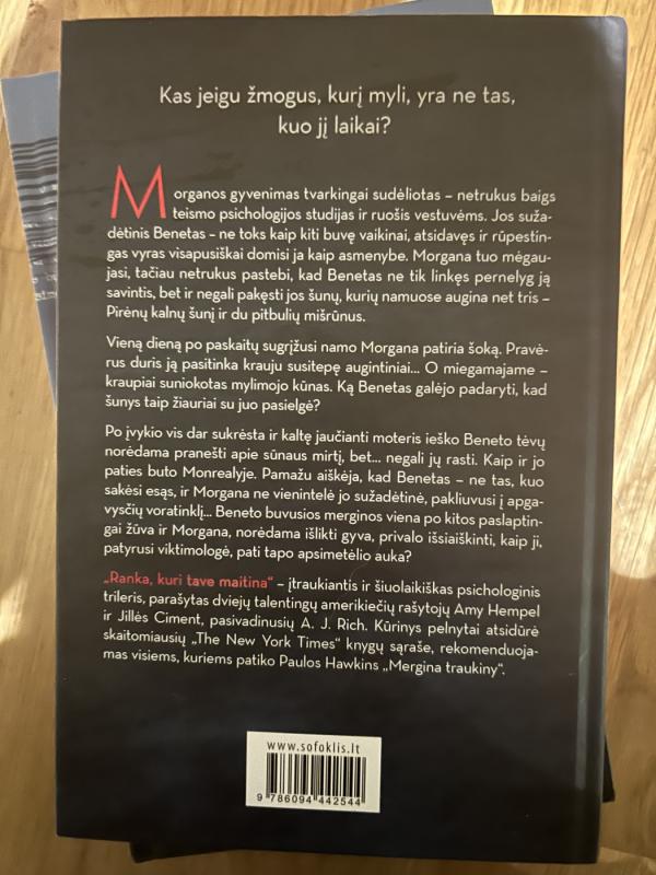 Ranka, kuri tave maitina - A.J. RICH, knyga 3