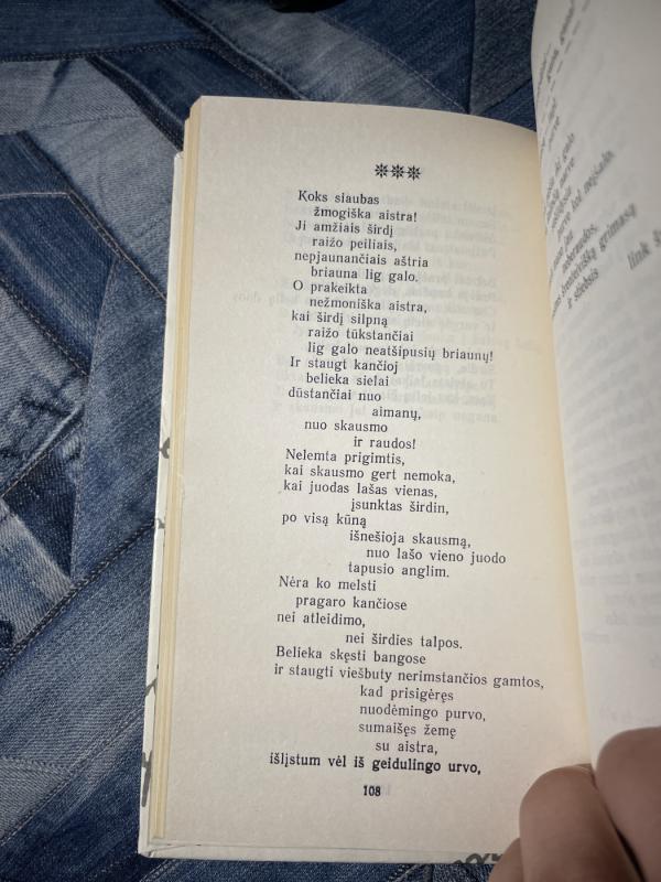 Sugrąžinti save - Vytautas Onaitis, knyga 4