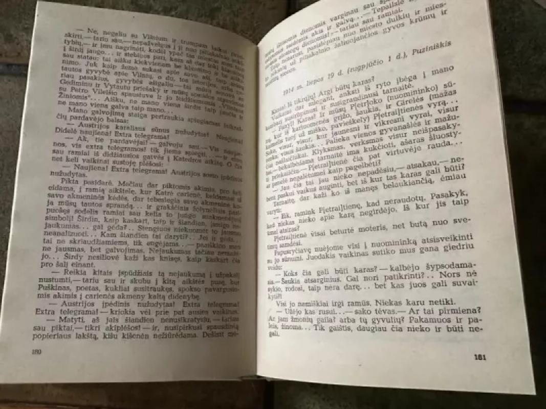 Iš gyvenimo verpetų - G. Petkevičaitė- Bitė, knyga 4