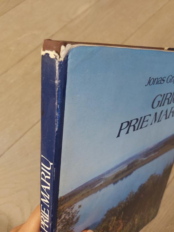 Girioje prie marių - Jonas Grigaliūnas, knyga 3