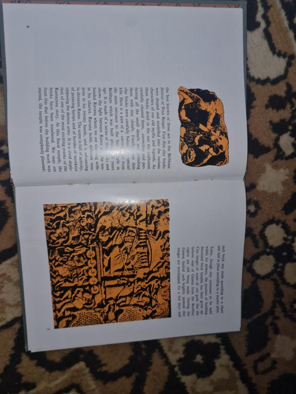 Things of beauty - Vidya Dehejia, knyga 5