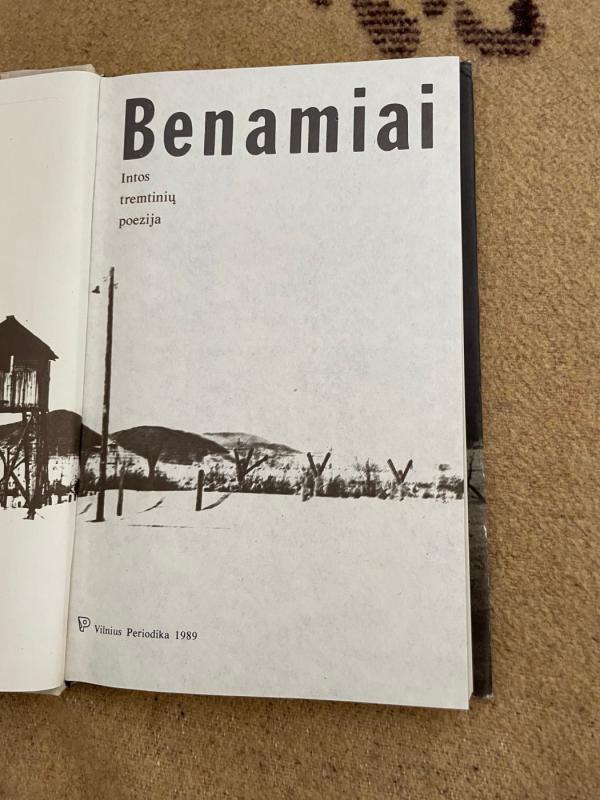 Benamiai - Leonas Gudaitis, knyga 3