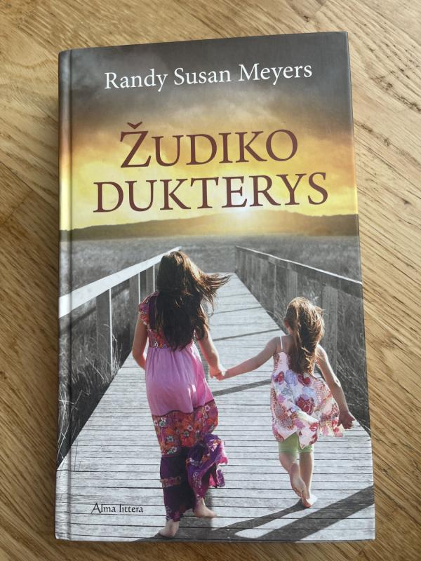 Žudiko dukterys - Randy Susan Meyers, knyga 2
