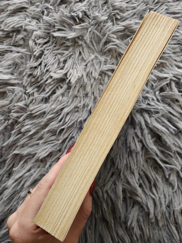 Nemiga (pirma knyga) - Stephen King, knyga 3