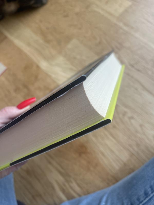 Mano sesers globėjas - Jodi Picoult, knyga 5