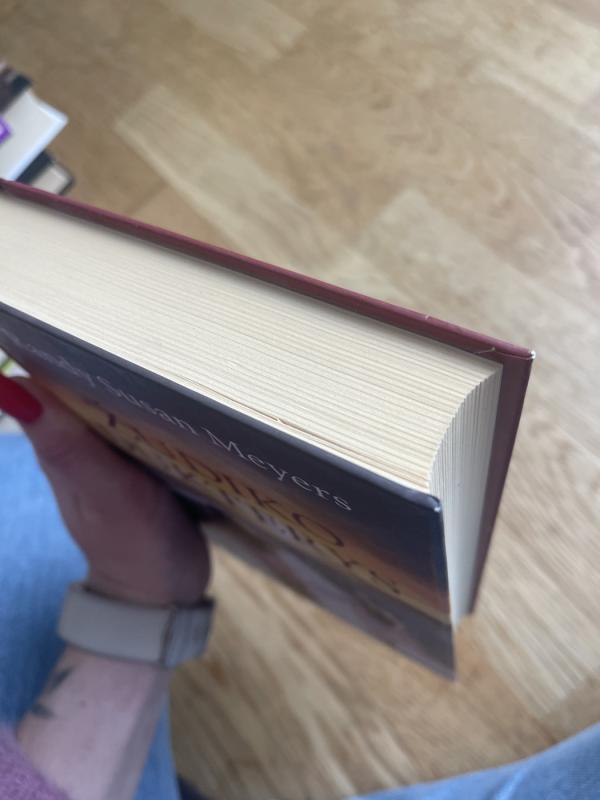 Žudiko dukterys - Randy Susan Meyers, knyga 4