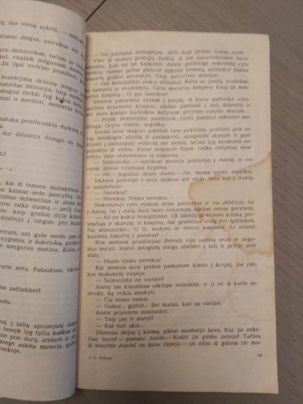 Piemenėlių mišios - Vytautas Bubnys, knyga 4