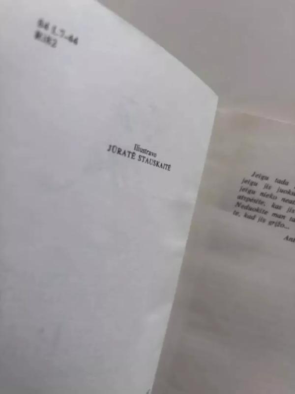 Mažasis Princas ir papa Antuanas - Vytautas Rimkevičius, knyga 6