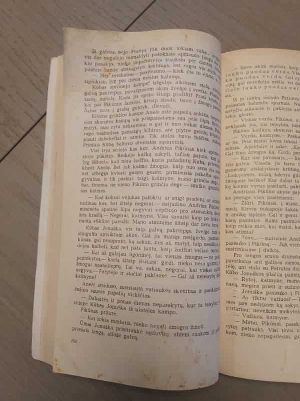 Piemenėlių mišios - Vytautas Bubnys, knyga 3