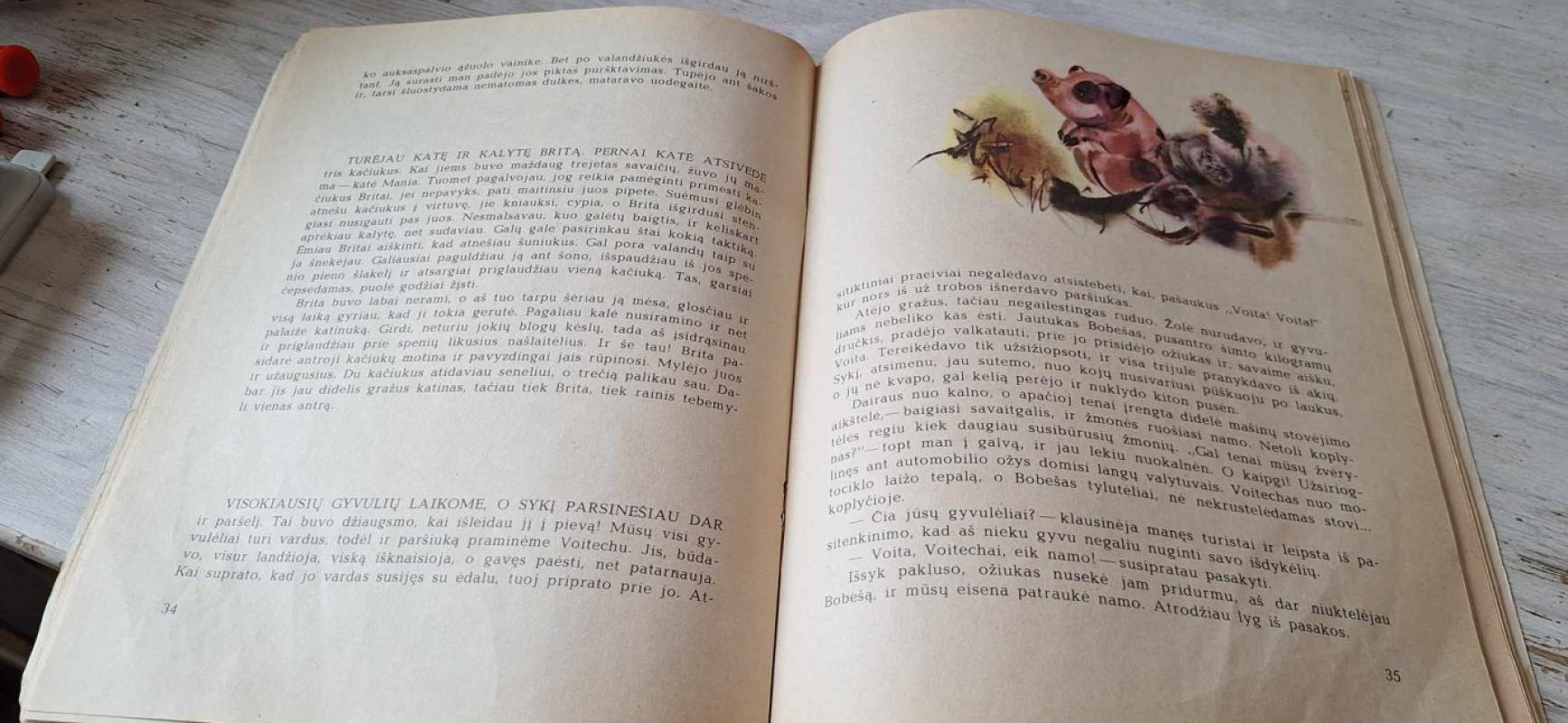 Pašnekesiai ant suolelio - Donatas Šaineris, knyga 5