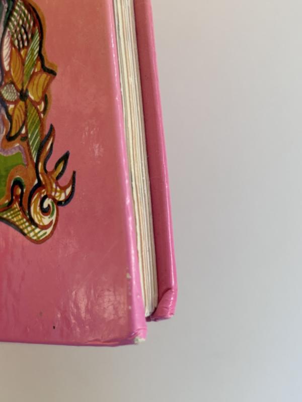 Miglė, Ramas ir Ežiukas Ajurvedos šalyje - Agnė Tarvydaitė, knyga 6