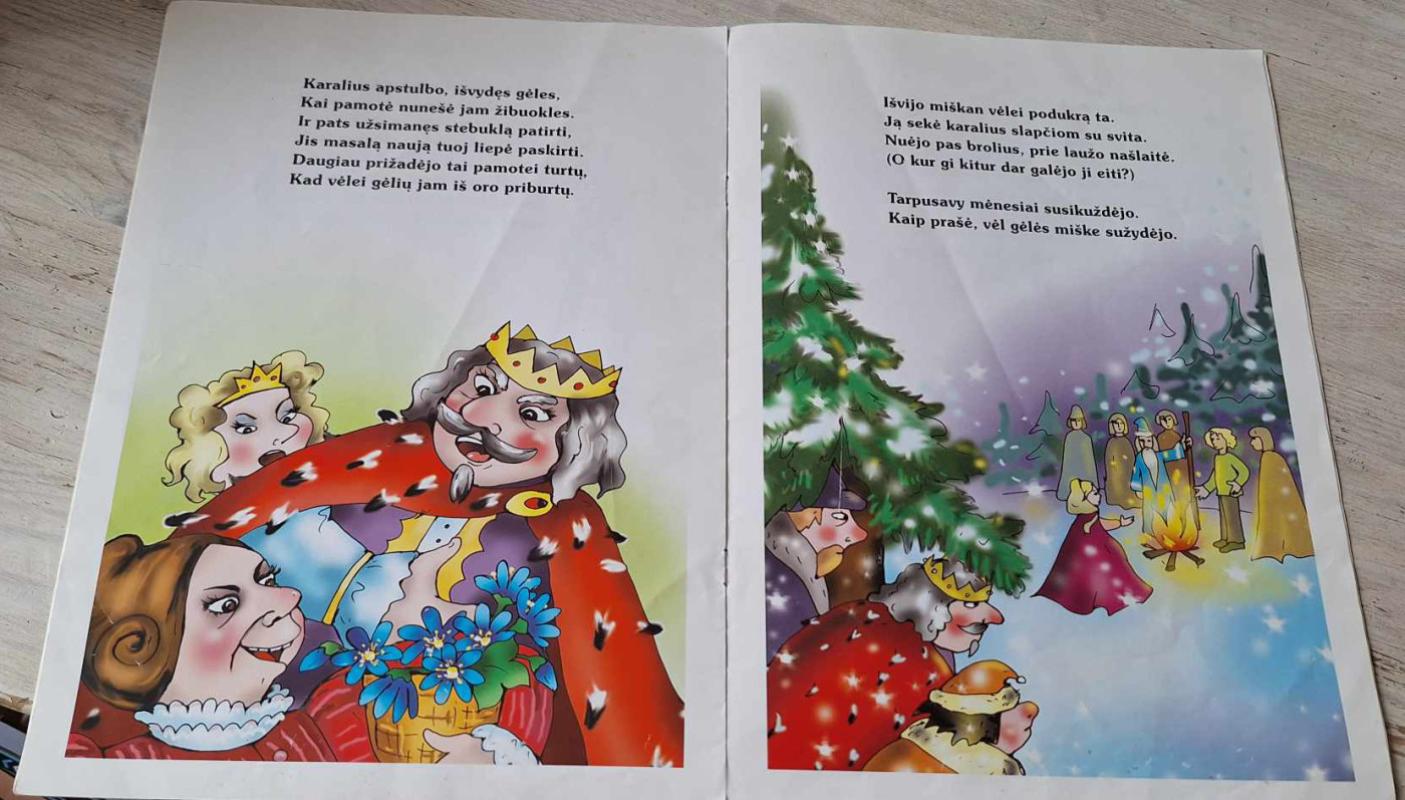 Dvylika mėnesių - Birutė Lenktytė, knyga 5